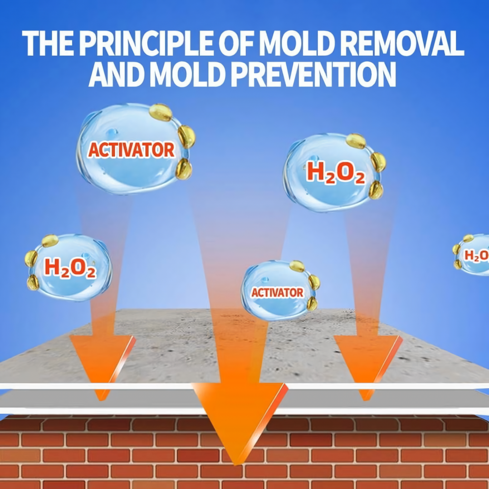 Highly Effective Mold Removal Spray - Prevents Mold Regrowth(240ml)