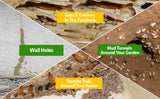 Termite Killer Spray(BUY 1 GET 2 FREE)