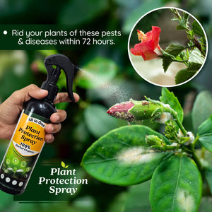 All in One Plant Protection Spray(BUY 1 GET 1 FREE)
