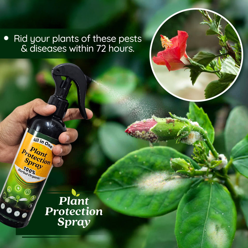All in One Plant Protection Spray(BUY 1 GET 1 FREE)