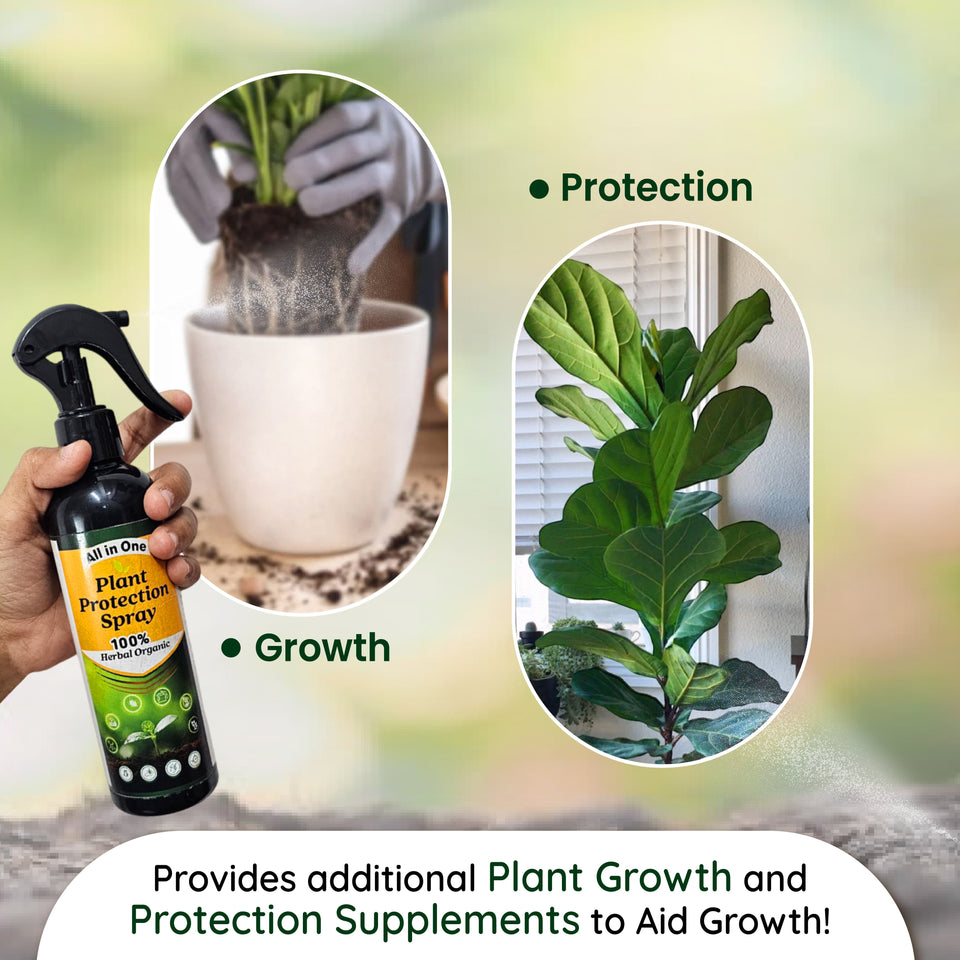 All in One Plant Protection Spray(BUY 1 GET 1 FREE)