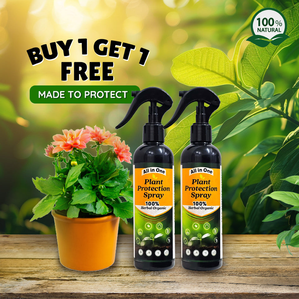 All in One Plant Protection Spray(BUY 1 GET 1 FREE)